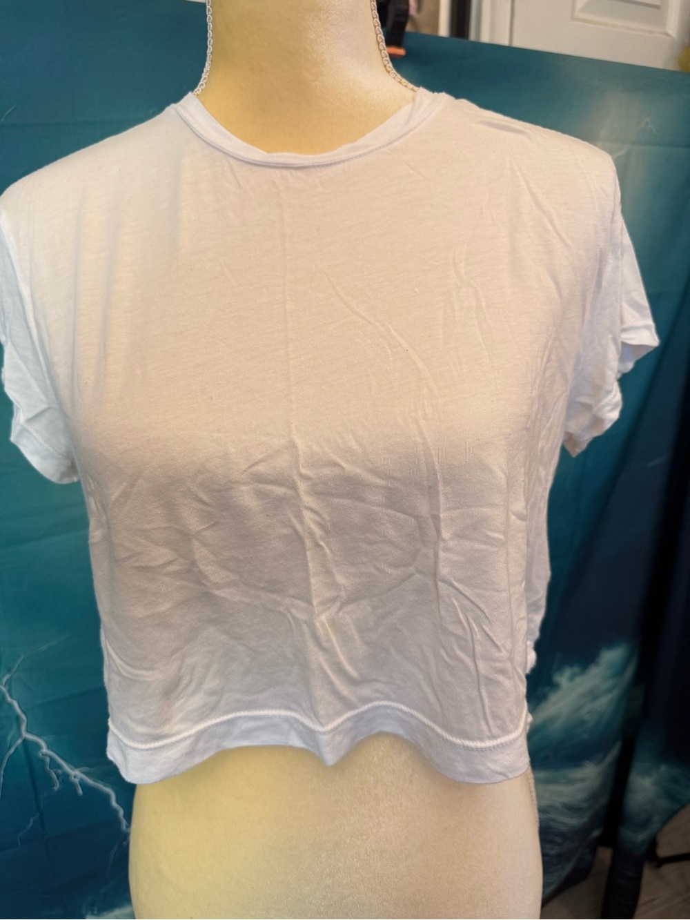 Splendid Light White Cropped Tee